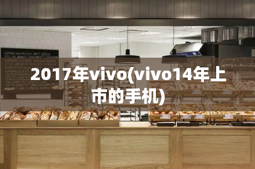 2017年vivo(vivo14年上市的手机)-第1张图片-星选测评