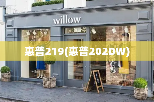 惠普219(惠普202DW)