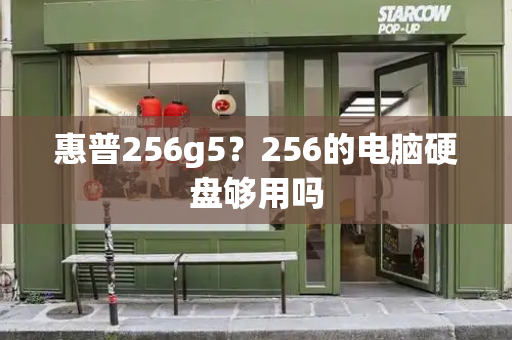 惠普256g5？256的电脑硬盘够用吗