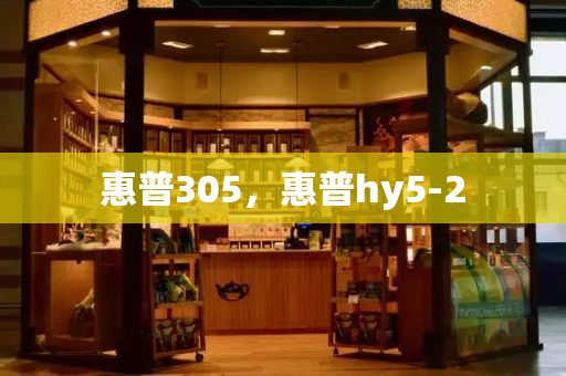 惠普305，惠普hy5-2-第1张图片-星选测评