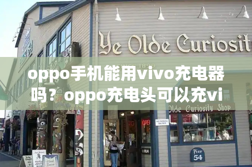 oppo手机能用vivo充电器吗？oppo充电头可以充vivo吗