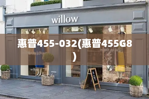 惠普455-032(惠普455G8)