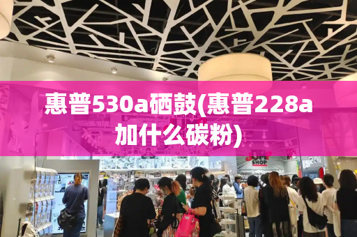 惠普530a硒鼓(惠普228a加什么碳粉)
