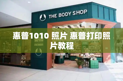 惠普1010 照片 惠普打印照片教程