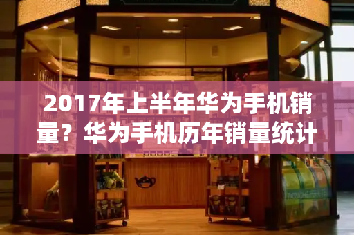 2017年上半年华为手机销量？华为手机历年销量统计-第1张图片-星选测评