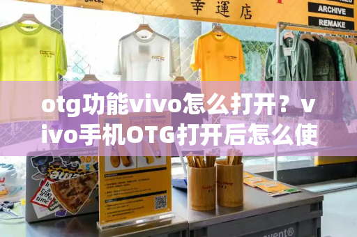 otg功能vivo怎么打开？vivo手机OTG打开后怎么使用-第1张图片-星选测评