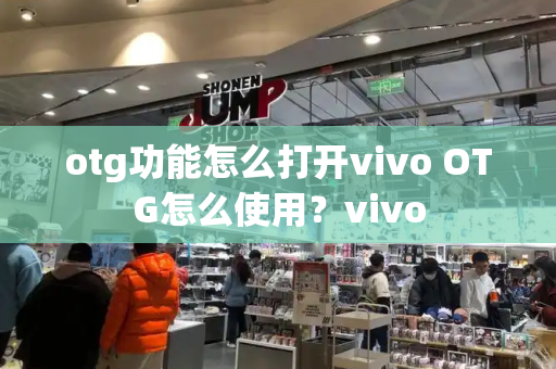 otg功能怎么打开vivo OTG怎么使用？vivo-第1张图片-星选测评