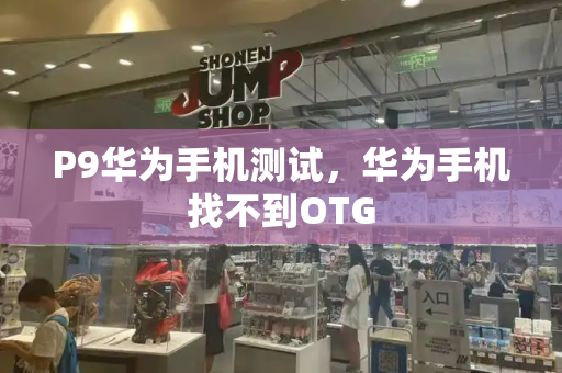 P9华为手机测试，华为手机找不到OTG