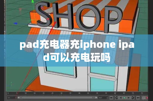 pad充电器充iphone ipad可以充电玩吗