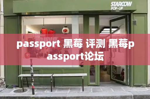 passport 黑莓 评测 黑莓passport论坛