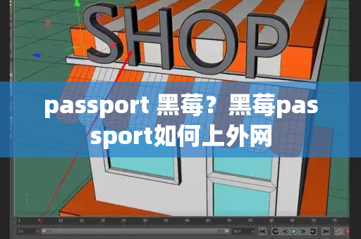 passport 黑莓？黑莓passport如何上外网