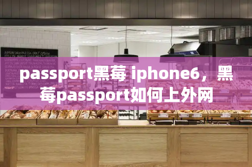 passport黑莓 iphone6，黑莓passport如何上外网