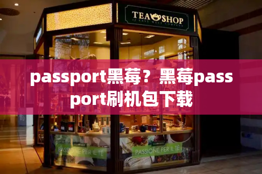 passport黑莓？黑莓passport刷机包下载-第1张图片-星选测评