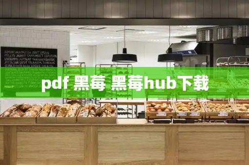 pdf 黑莓 黑莓hub下载-第1张图片-星选测评