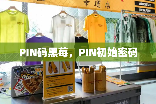 PIN码黑莓，PIN初始密码