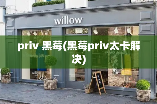 priv 黑莓(黑莓priv太卡解决)-第1张图片-星选测评