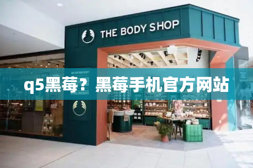 q5黑莓？黑莓手机官方网站-第1张图片-星选测评