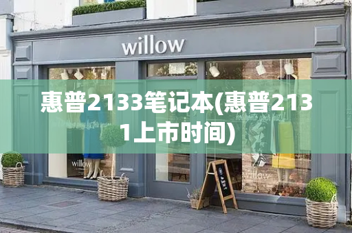 惠普2133笔记本(惠普2131上市时间)-第1张图片-星选测评
