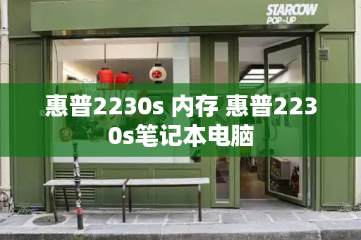 惠普2230s 内存 惠普2230s笔记本电脑-第1张图片-星选测评