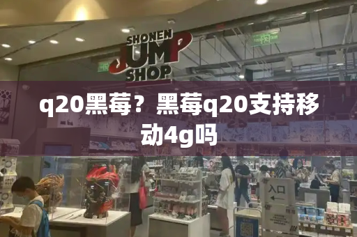 q20黑莓？黑莓q20支持移动4g吗