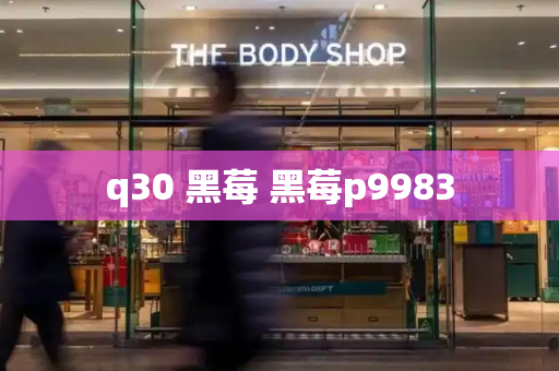 q30 黑莓 黑莓p9983-第1张图片-星选测评