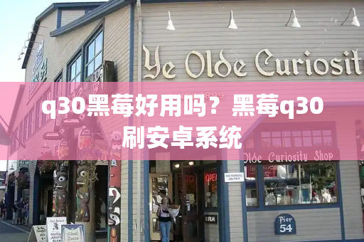 q30黑莓好用吗？黑莓q30刷安卓系统-第1张图片-星选测评