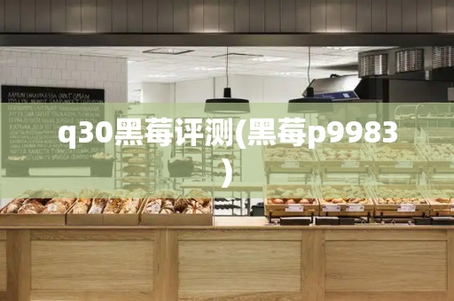 q30黑莓评测(黑莓p9983)