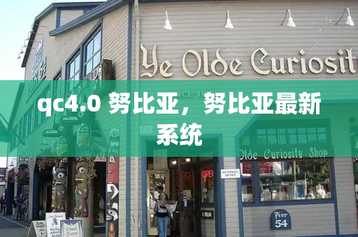 qc4.0 努比亚，努比亚最新系统