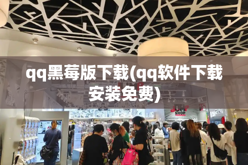 qq黑莓版下载(qq软件下载安装免费)-第1张图片-星选测评