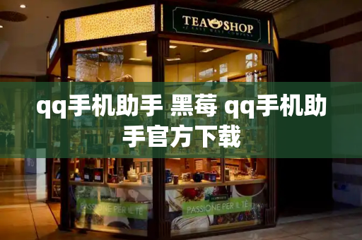 qq手机助手 黑莓 qq手机助手官方下载-第1张图片-星选测评