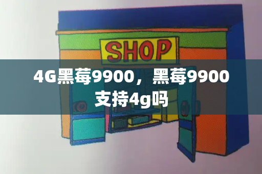 4G黑莓9900，黑莓9900支持4g吗