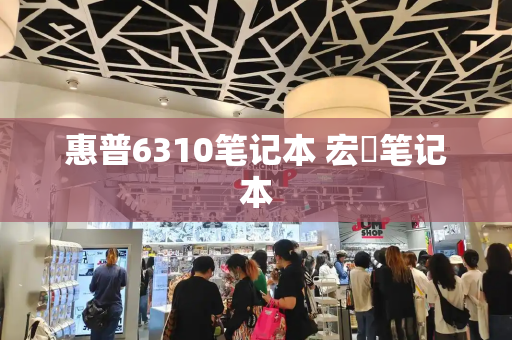 惠普6310笔记本 宏碁笔记本-第1张图片-星选测评