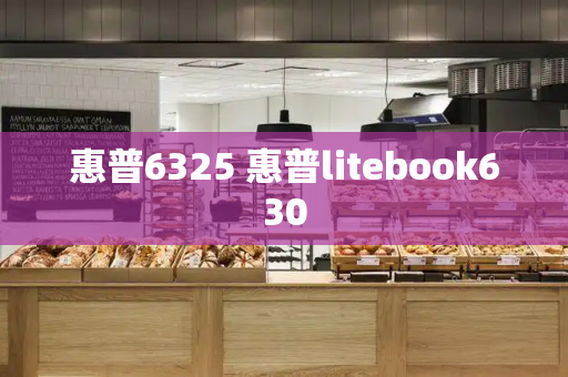 惠普6325 惠普litebook630-第1张图片-星选测评