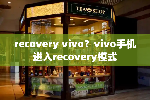 recovery vivo？vivo手机进入recovery模式