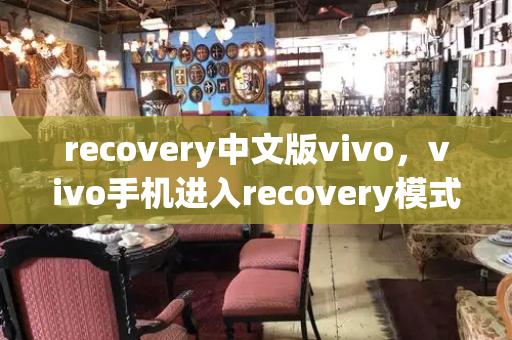 recovery中文版vivo，vivo手机进入recovery模式