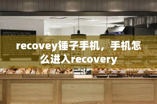 recovey锤子手机，手机怎么进入recovery-第1张图片-星选测评