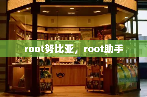 root努比亚，root助手
