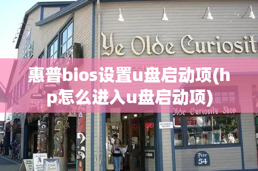 惠普bios设置u盘启动项(hp怎么进入u盘启动项)