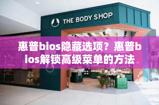 惠普bios隐藏选项？惠普bios解锁高级菜单的方法