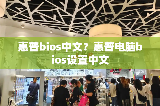 惠普bios中文？惠普电脑bios设置中文