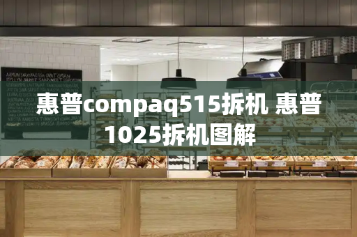惠普compaq515拆机 惠普1025拆机图解