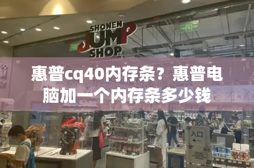 惠普cq40内存条？惠普电脑加一个内存条多少钱