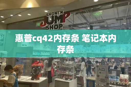惠普cq42内存条 笔记本内存条-第1张图片-星选测评