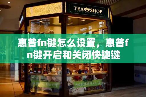 惠普fn键怎么设置，惠普fn键开启和关闭快捷键-第1张图片-星选测评