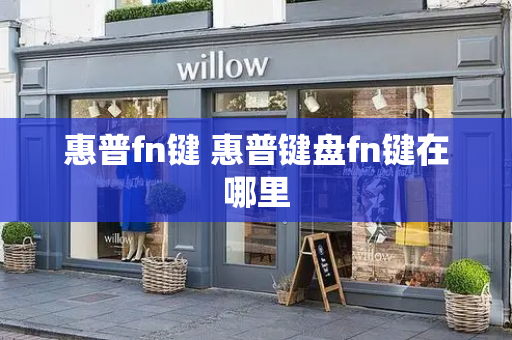 惠普fn键 惠普键盘fn键在哪里-第1张图片-星选测评