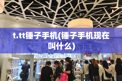 t.tt锤子手机(锤子手机现在叫什么)-第1张图片-星选测评