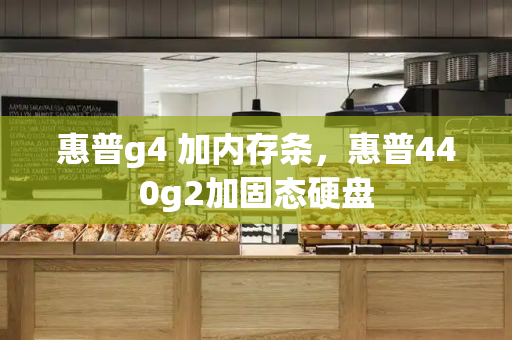 惠普g4 加内存条，惠普440g2加固态硬盘-第1张图片-星选测评