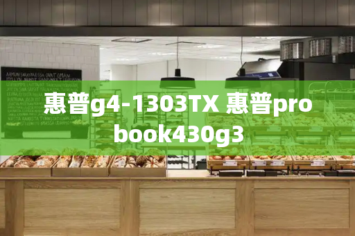 惠普g4-1303TX 惠普probook430g3