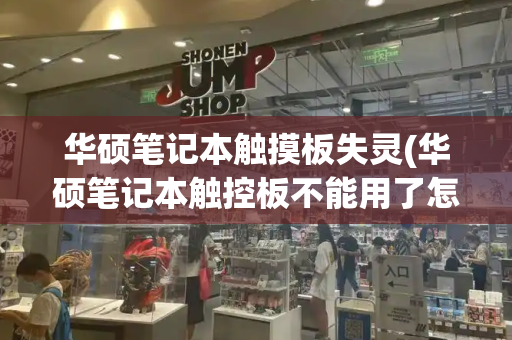 华硕笔记本触摸板失灵(华硕笔记本触控板不能用了怎么办)