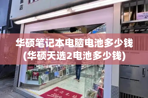 华硕笔记本电脑电池多少钱(华硕天选2电池多少钱)-第1张图片-星选测评
